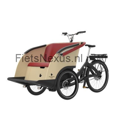 Triobike Taxi specificaties
